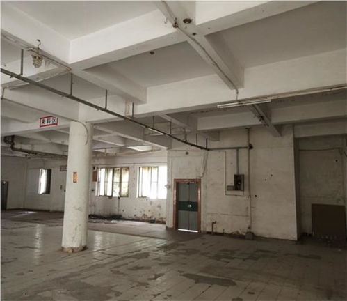 日照市廠房驗廠安全檢測鑒定收費(fèi)標(biāo)準(zhǔn)解析及建筑材料安全新規(guī)引關(guān)注